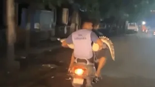 Bikers Carry Crocodile In 3 Idiots Style To Forest Department In Gujarat; Internet Impressed | Viral Video